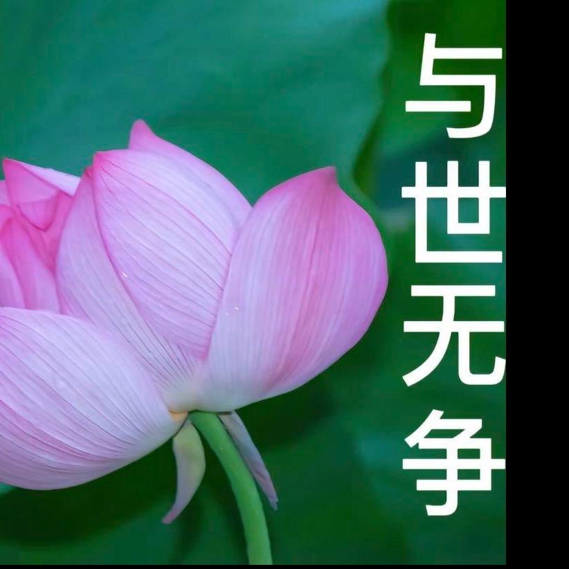 小条被限流了.