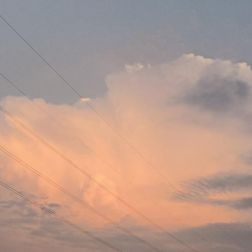 🍂 Red Beauty 🍊