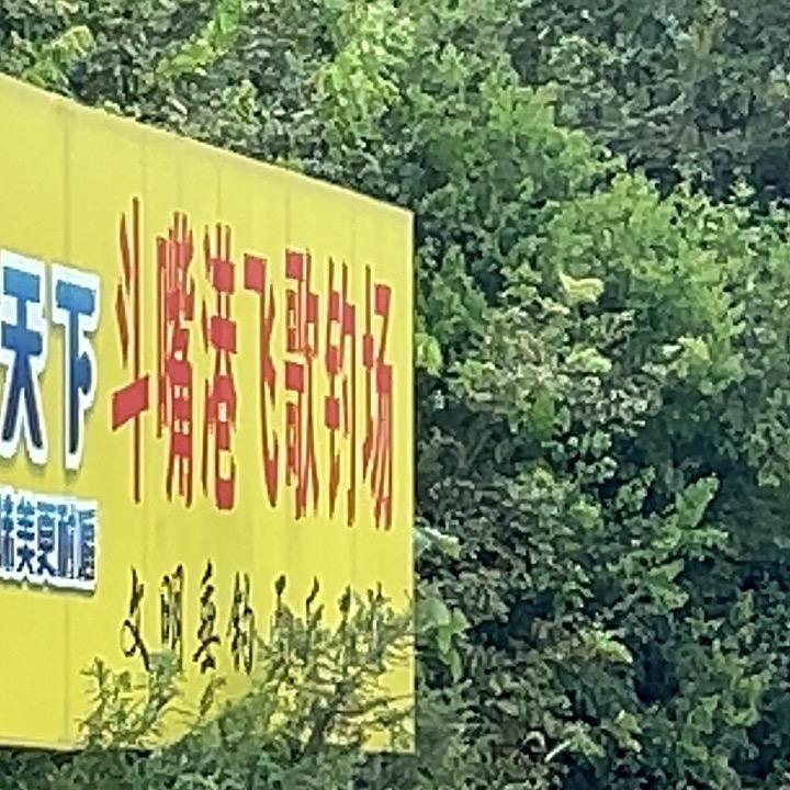 斗嘴港飞歌钓场