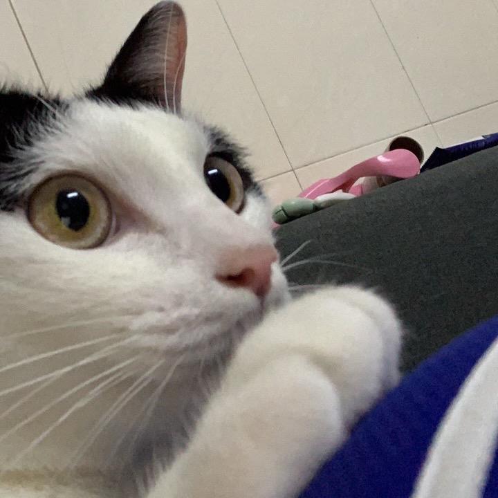阿泽