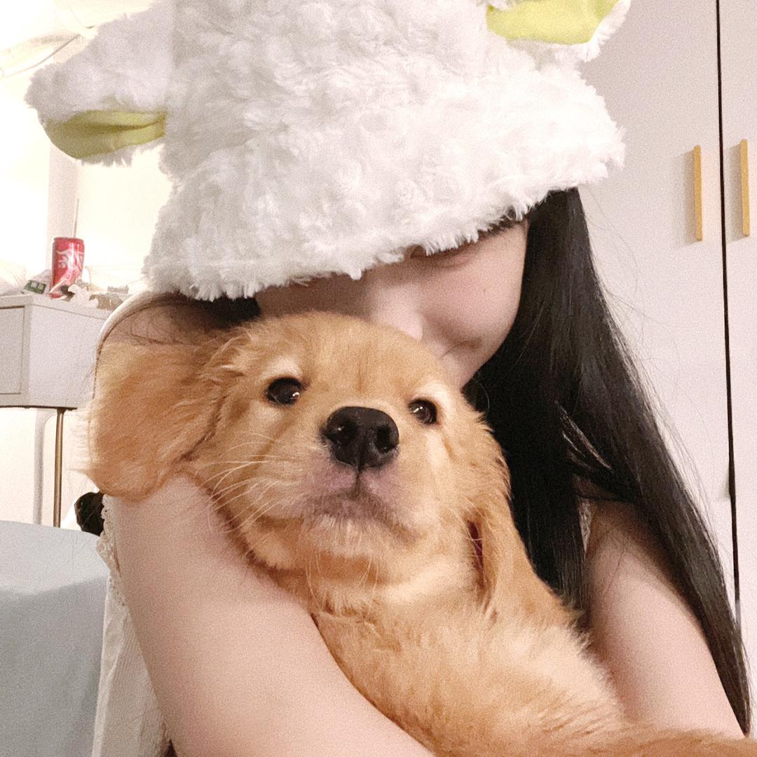 一只小阿黎