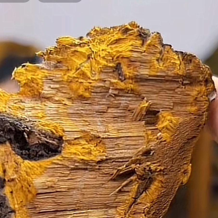 汐阳优物