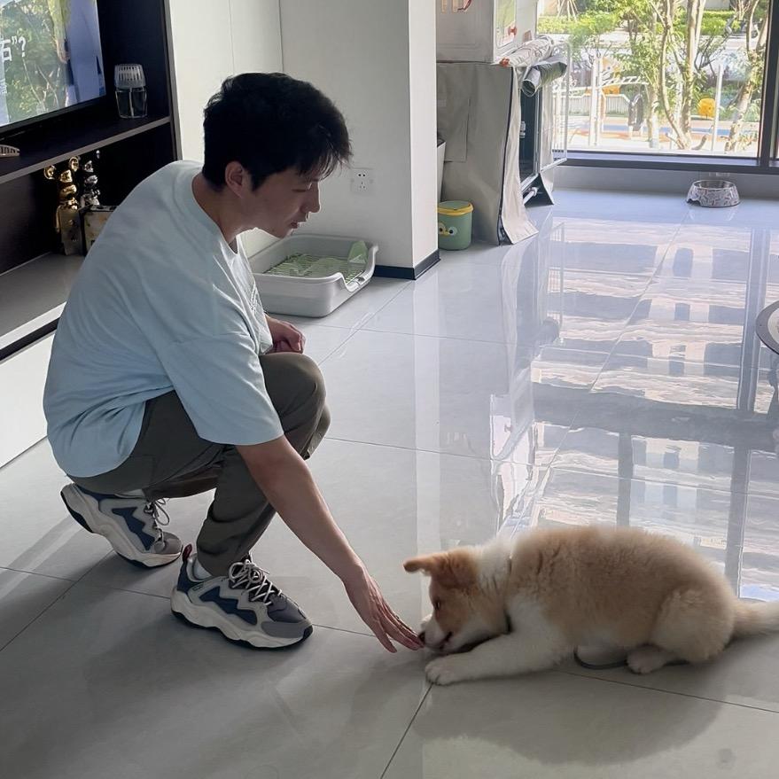 宠到家先生(专治乱拉乱尿)