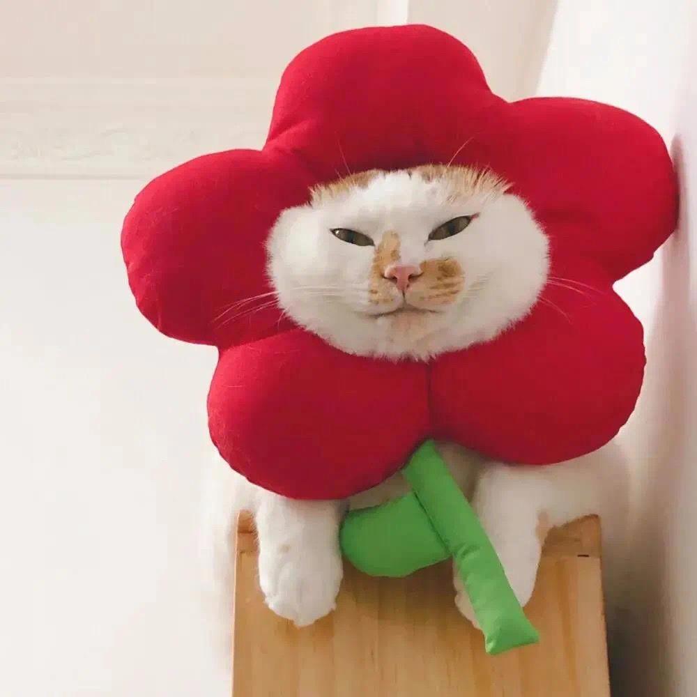 南风