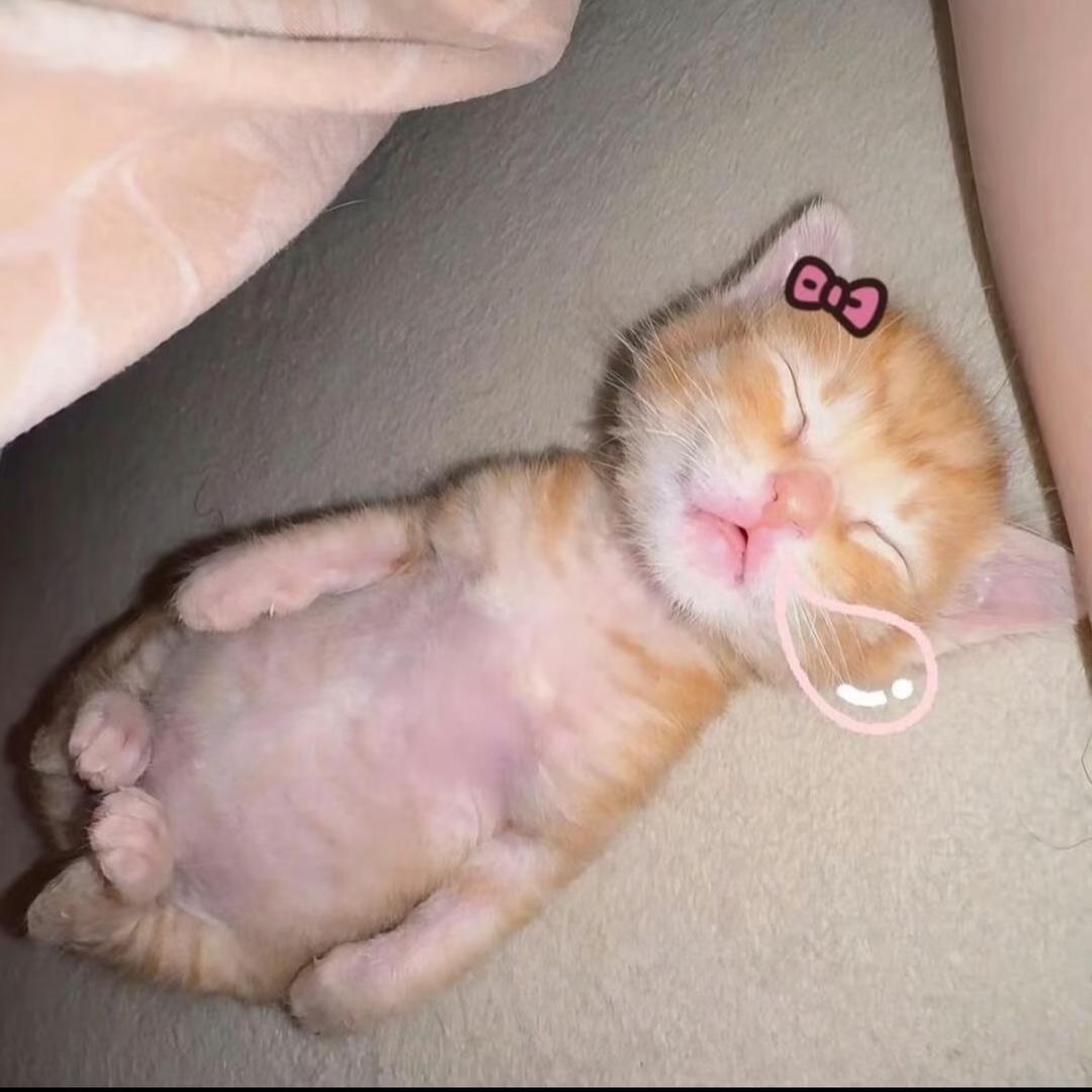 uuoool