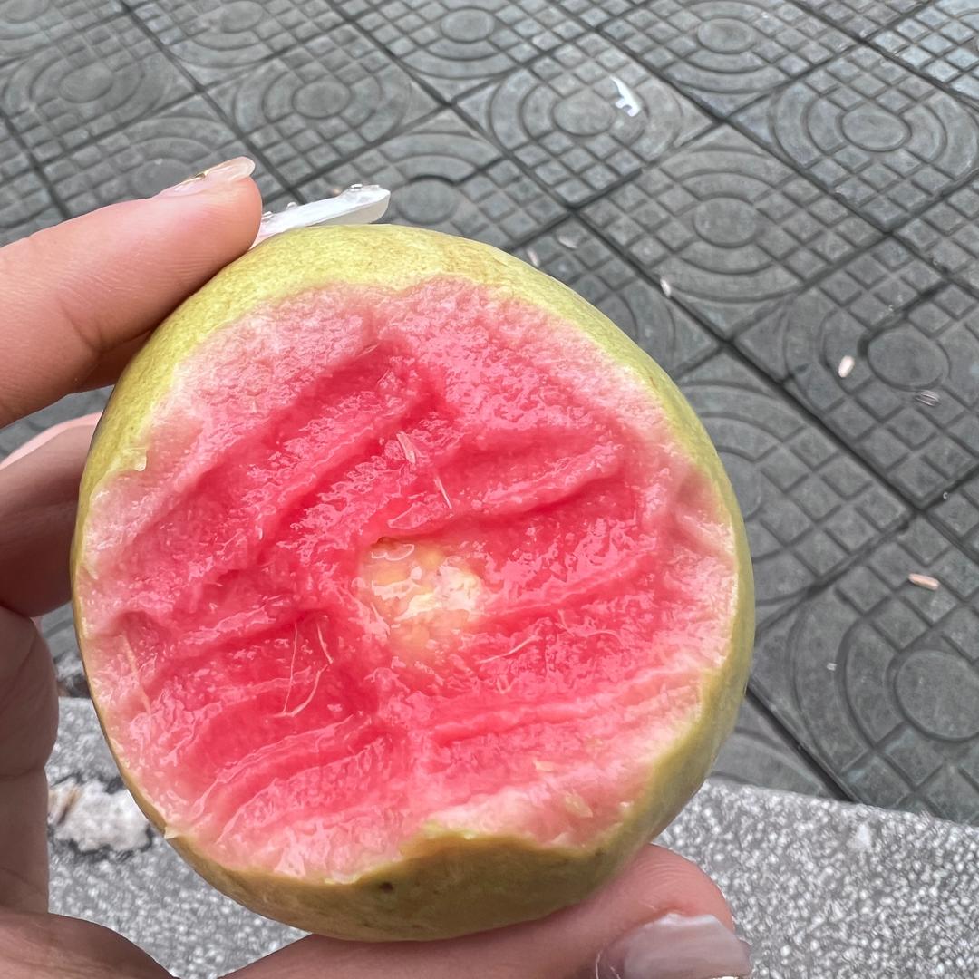重生之——我在抖音做切片