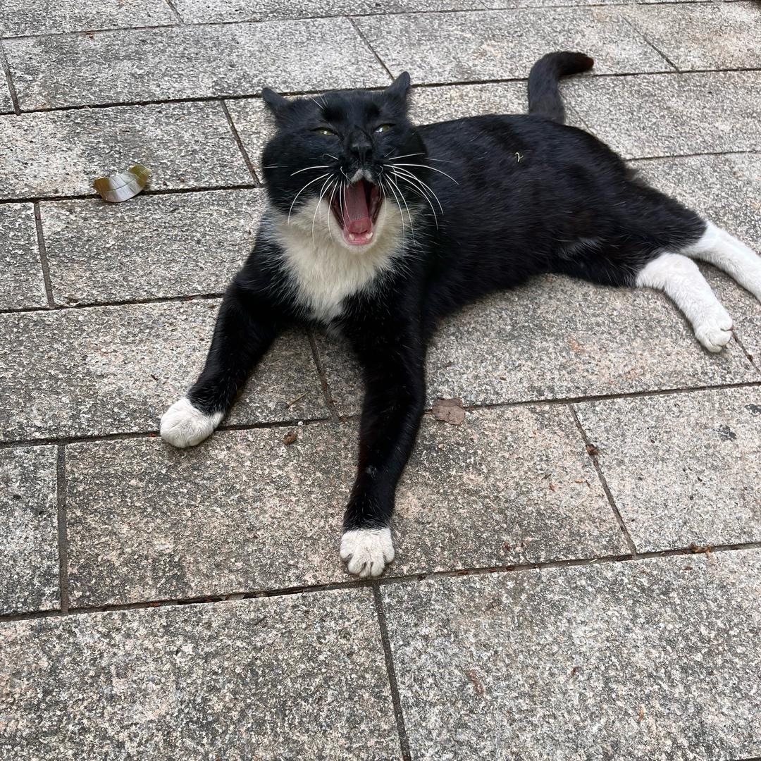懂得