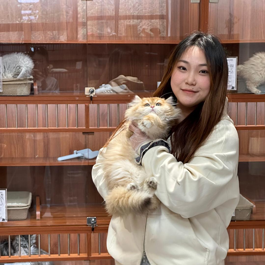 楠妍宠物优品店