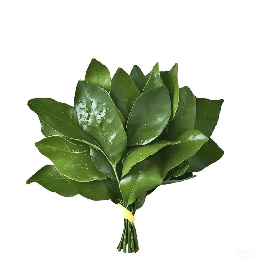 吧啦服饰工作室