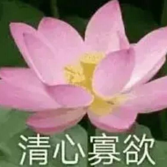 AAA专业代吃服务刘姐