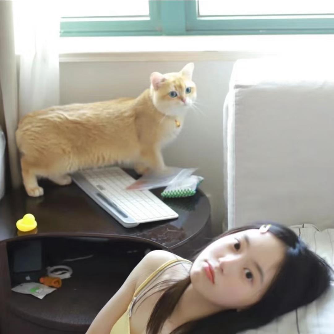 O椰.