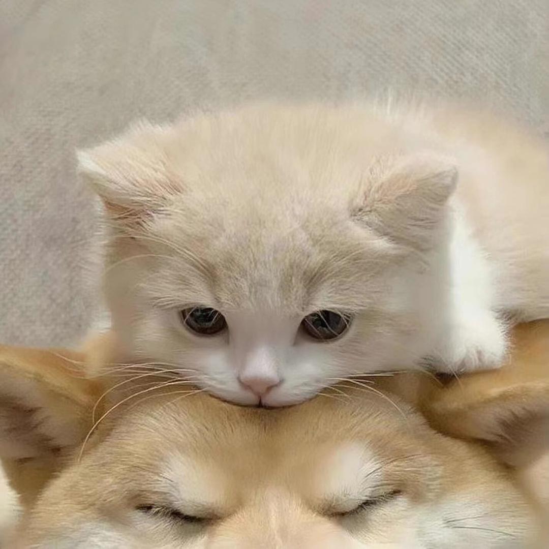不止