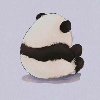 瓶子哥的花