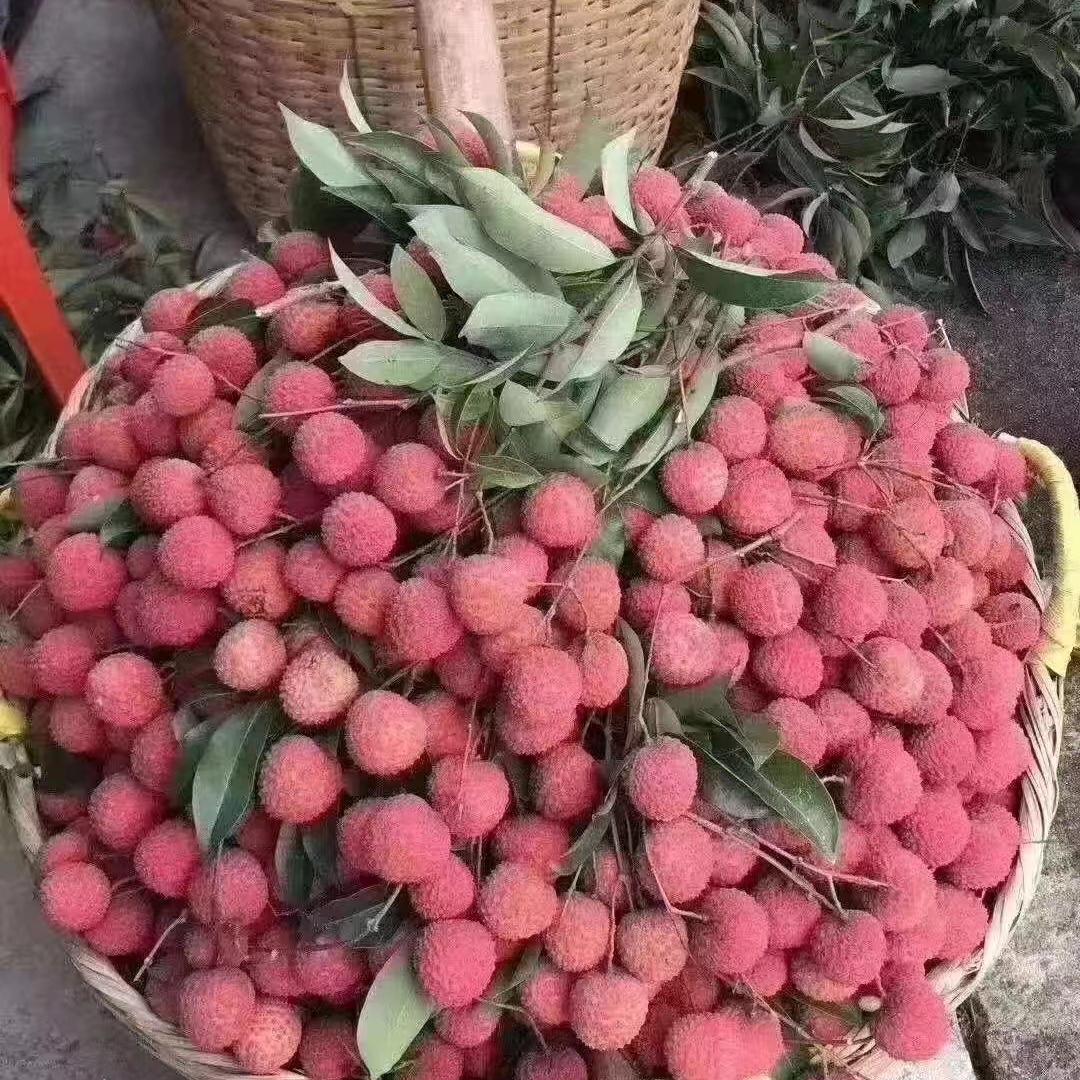 蜻蜓果蔬生鲜店
