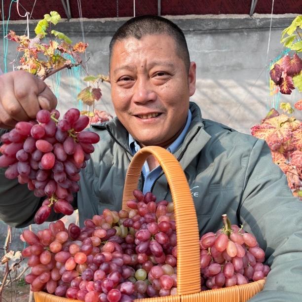 小胖丫葡萄种植园