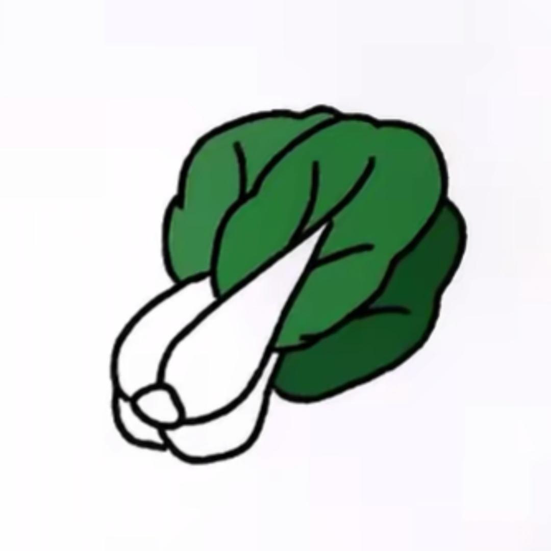 一颗小白菜