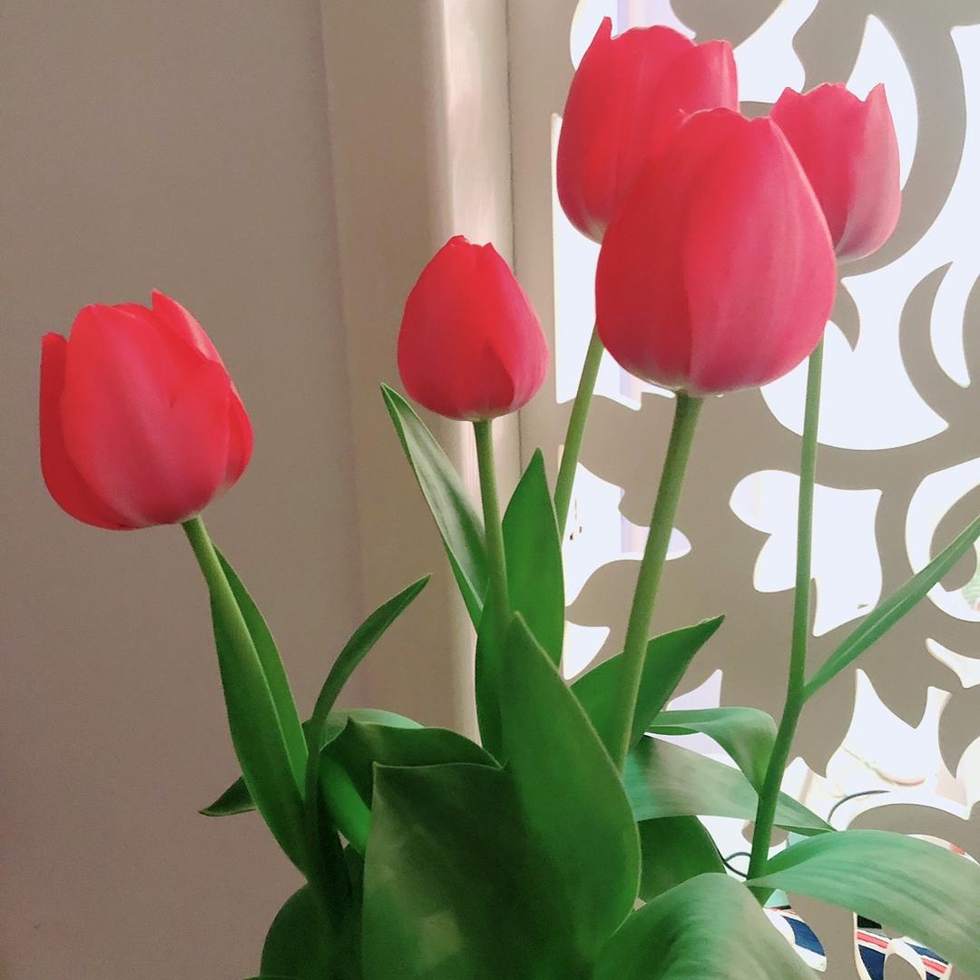 房县杨婷服装店（个体工商户）