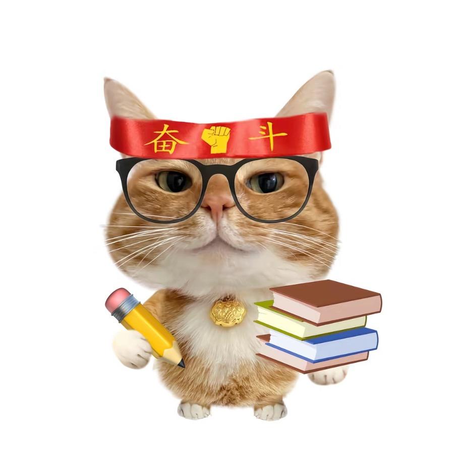 登云转本 小杜老师