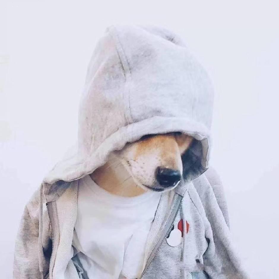 头孢呋人心~