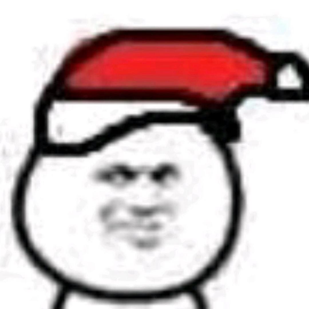 养一只猫叫十三