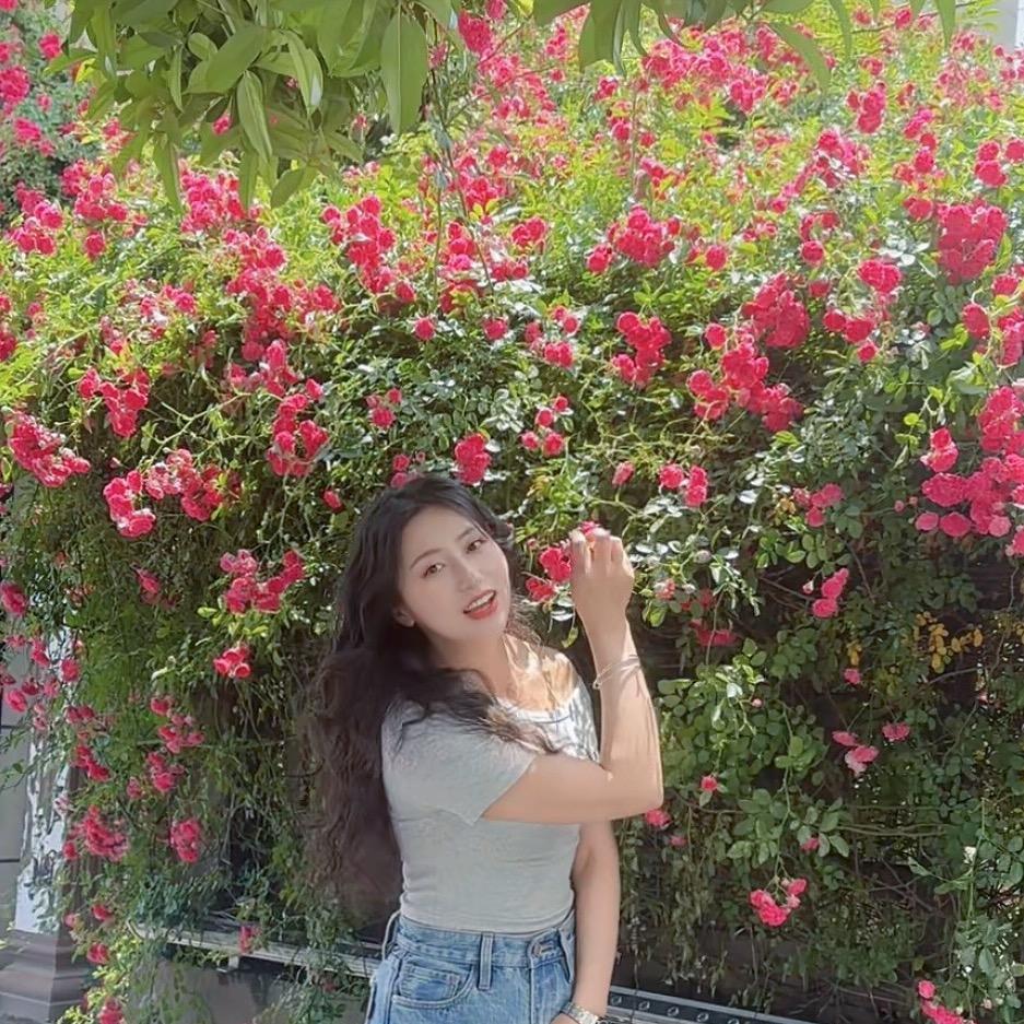 欧来刻窗帘（向向）