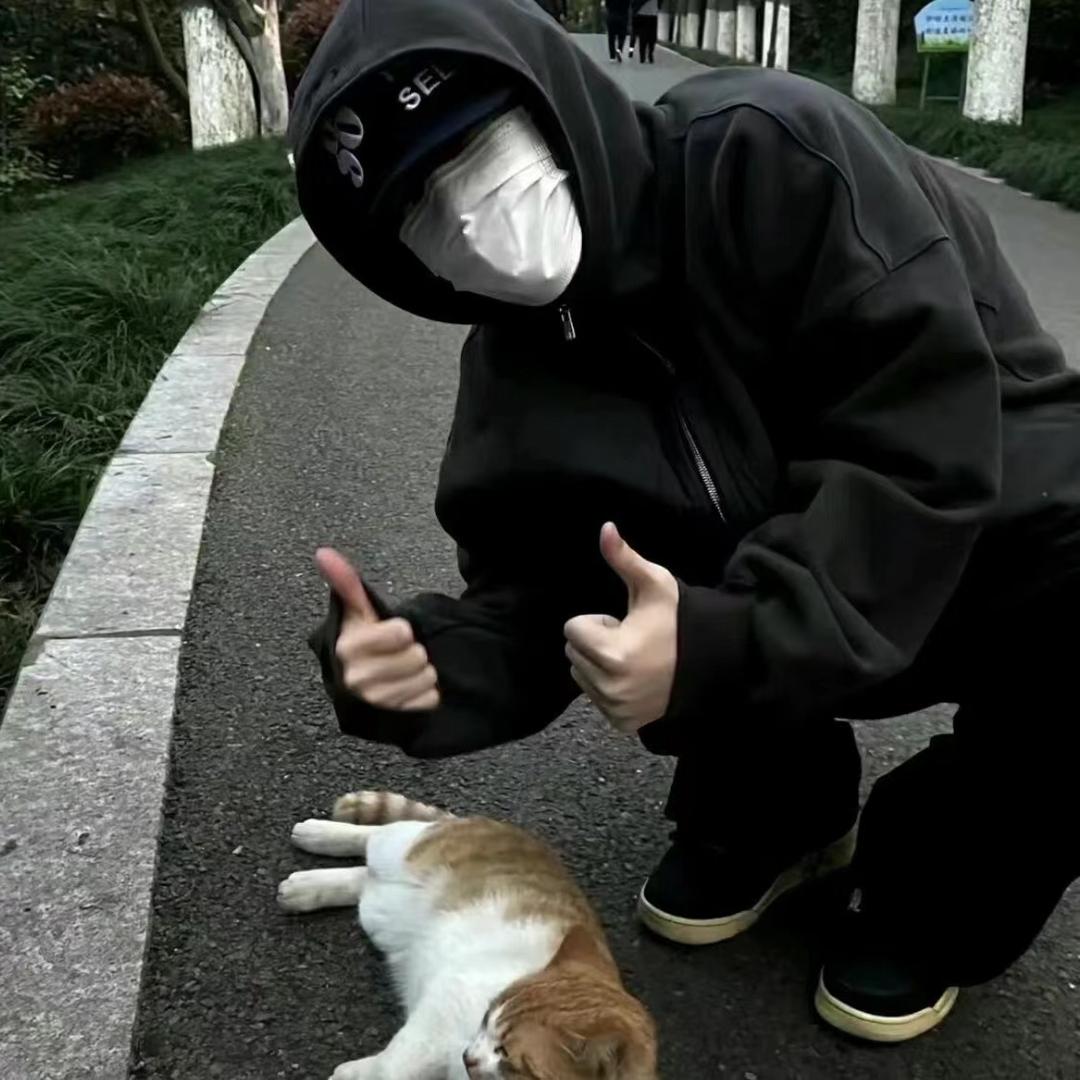 桉