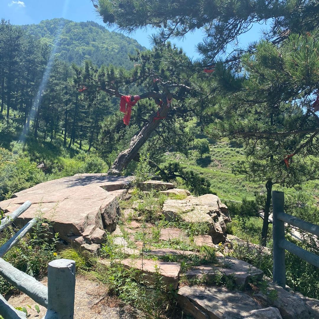 吃鸡彭于晏