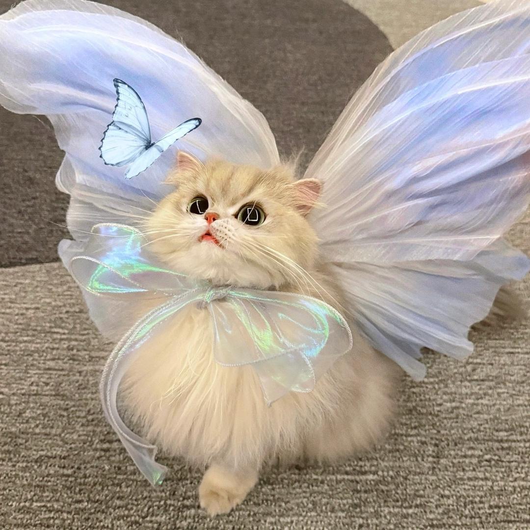 听见小雨的声音🎶