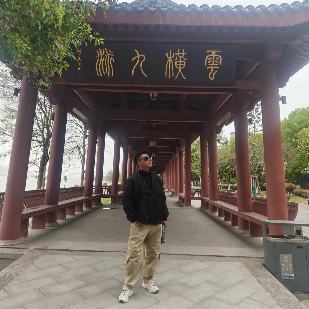 斜坡上的向日葵