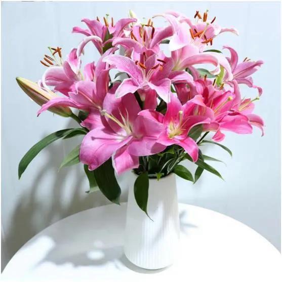 香水百合花卉