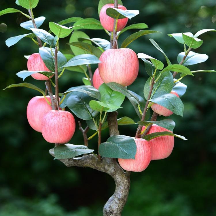 墨春紫砂花盆