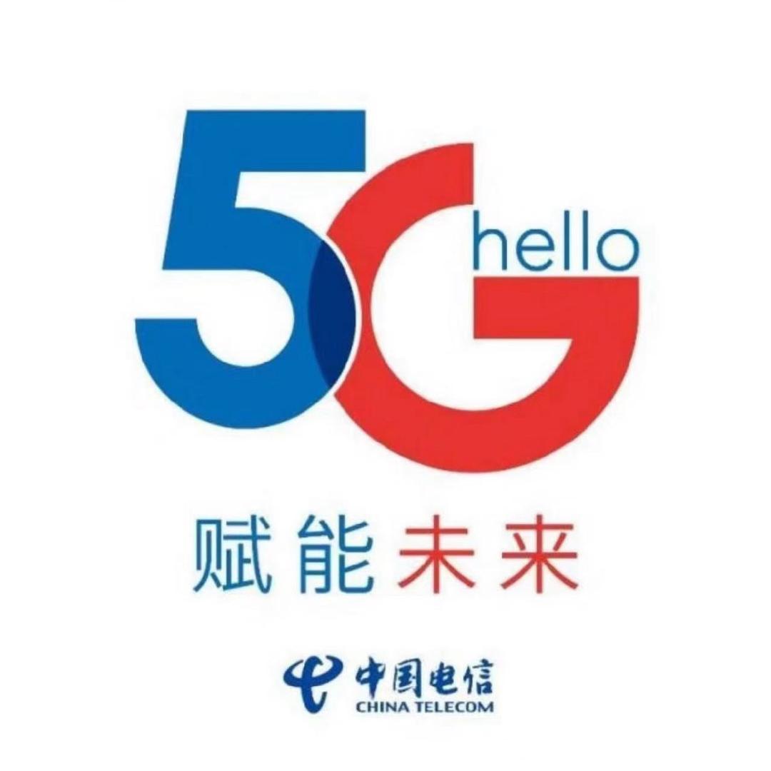 萨尔图会战大街电信营业厅