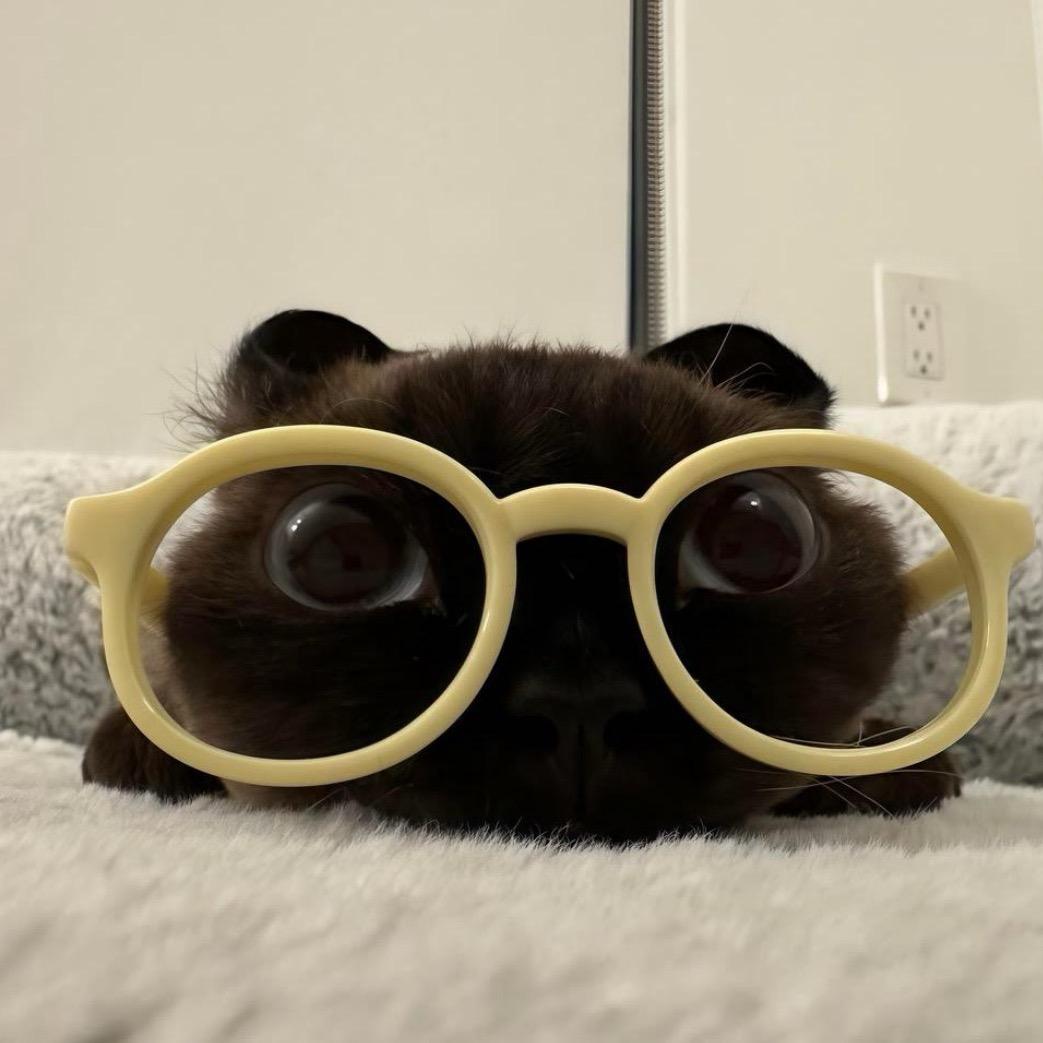 泪水拌饭又省包盐