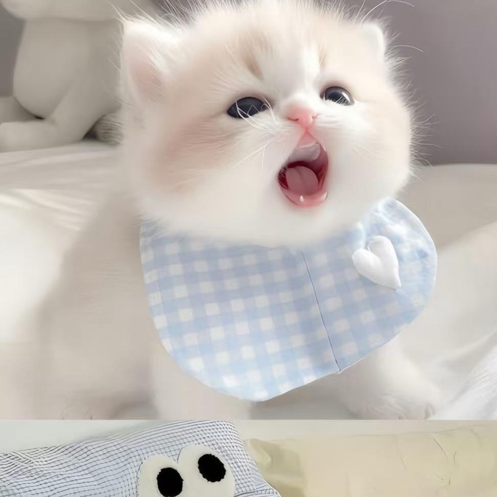 性感母蟑螂