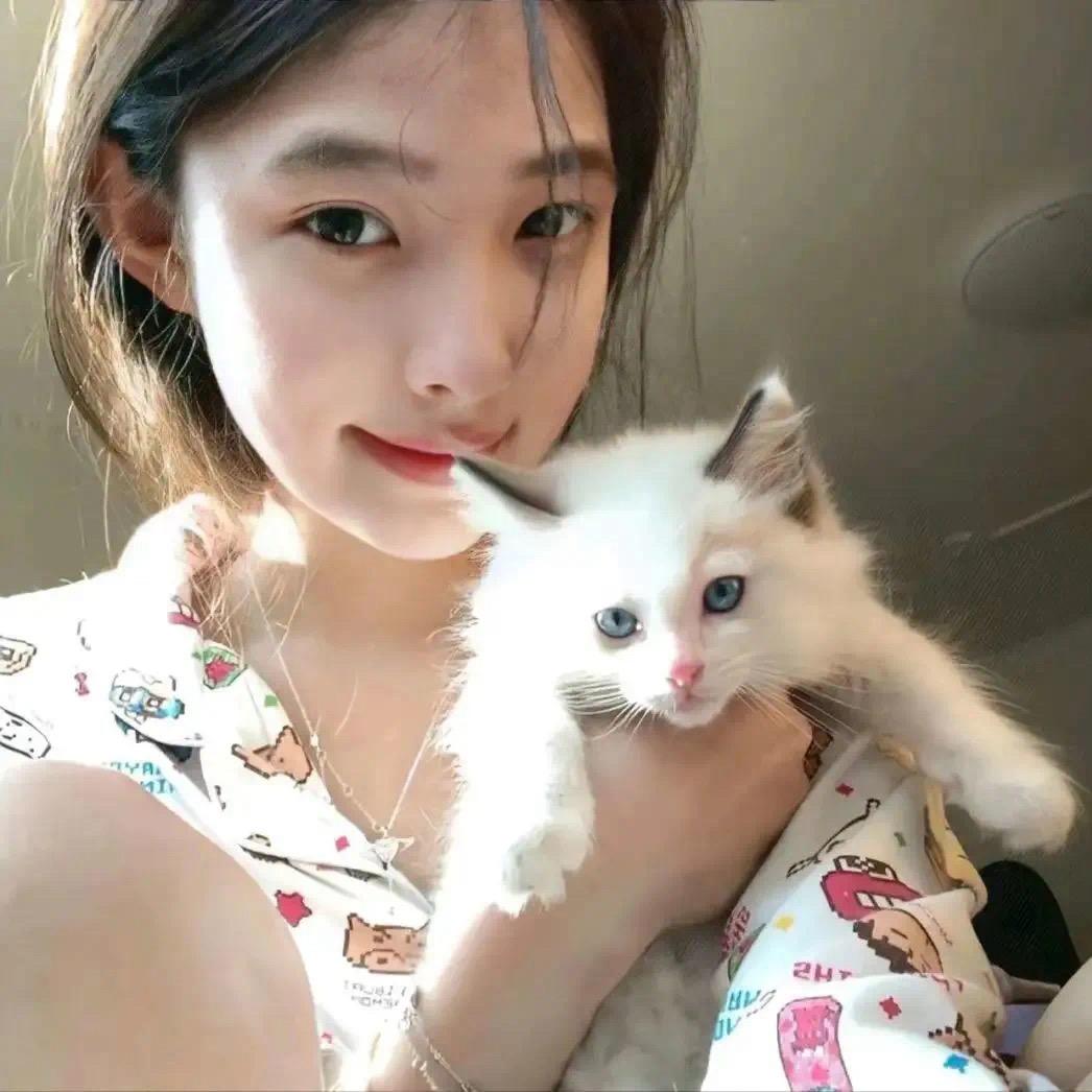 純情小綿羊