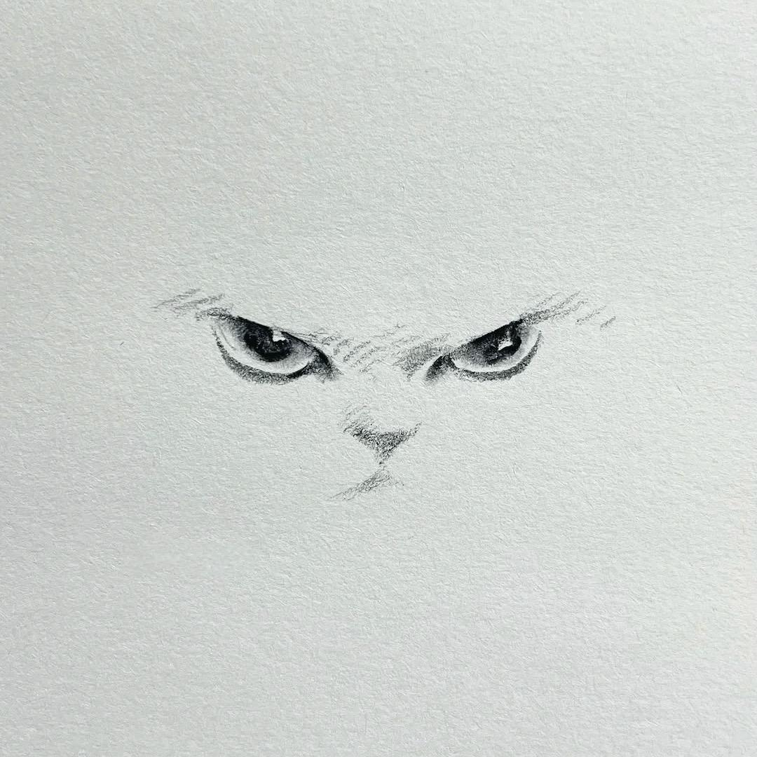 北蓬