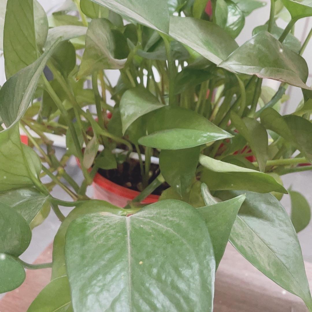 往后余生好好生活