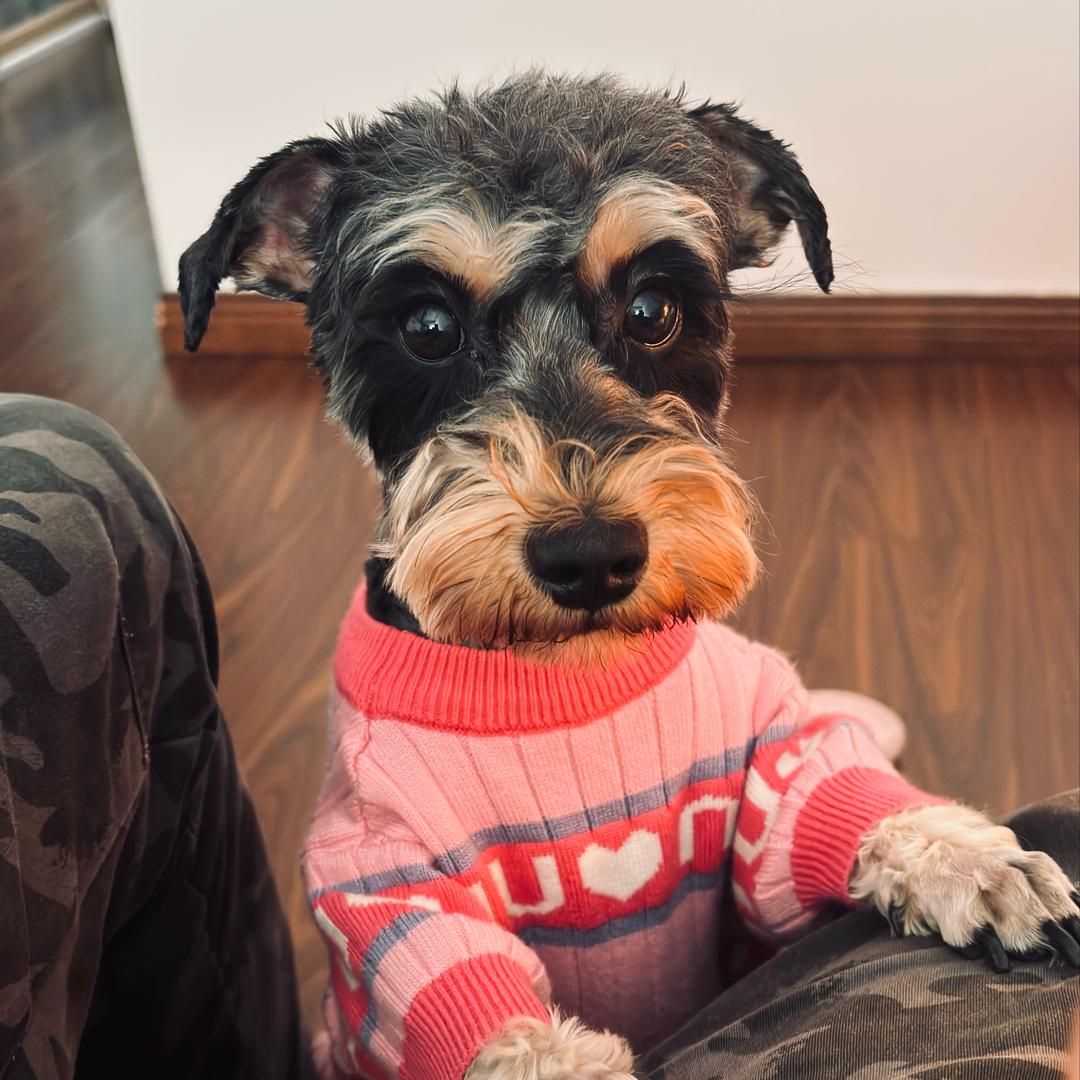 痴饮痴食