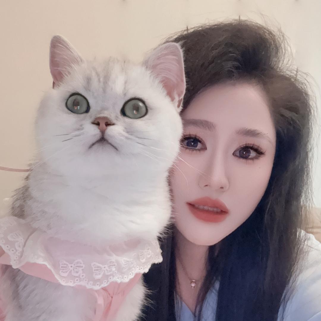 中分的小妖