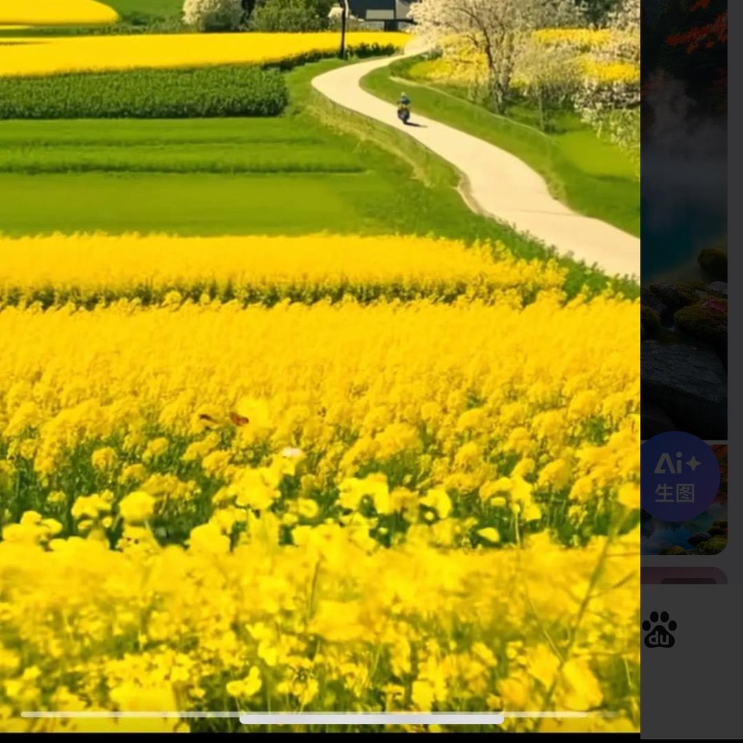 做好自己就够了