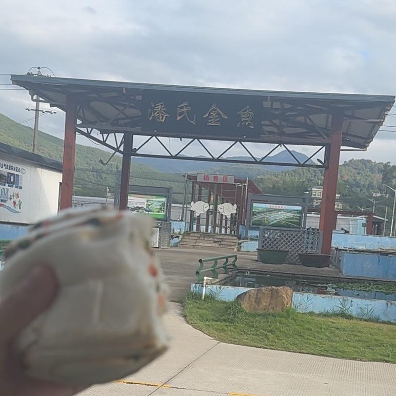 潘氏兰寿批发 （朋友圈选鱼）