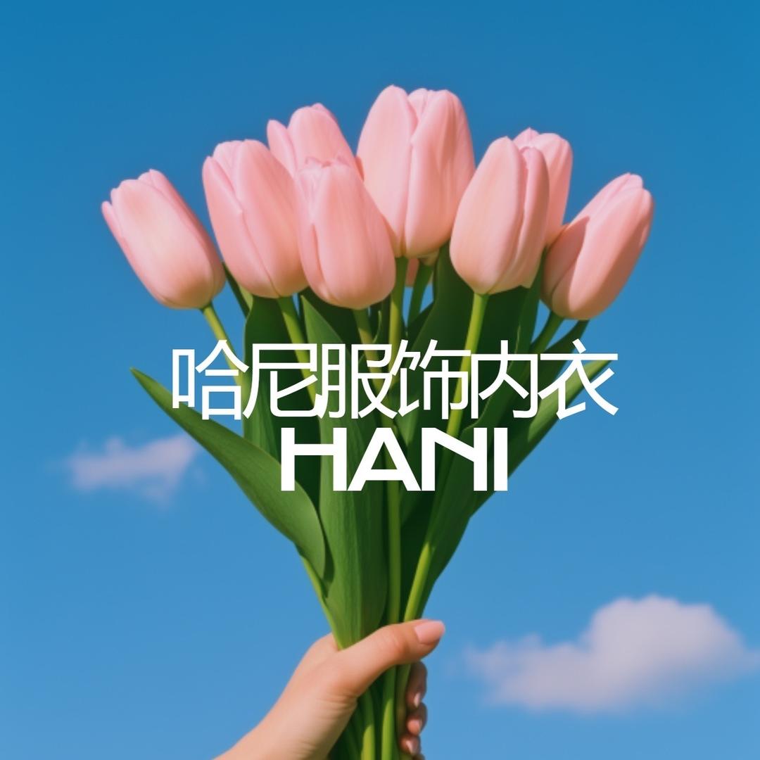 哈尼服饰内衣