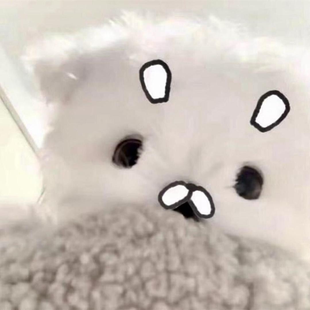 喜欢吃糖拌番茄