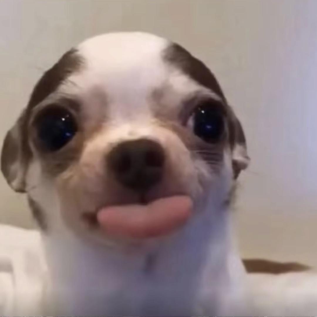 八戒🐷