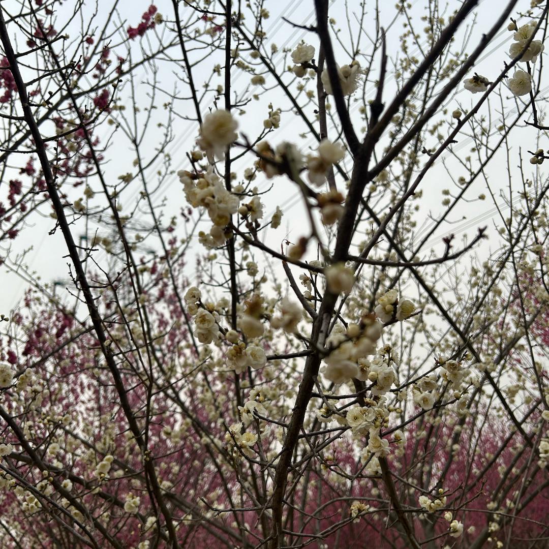 宸润本地生活服务