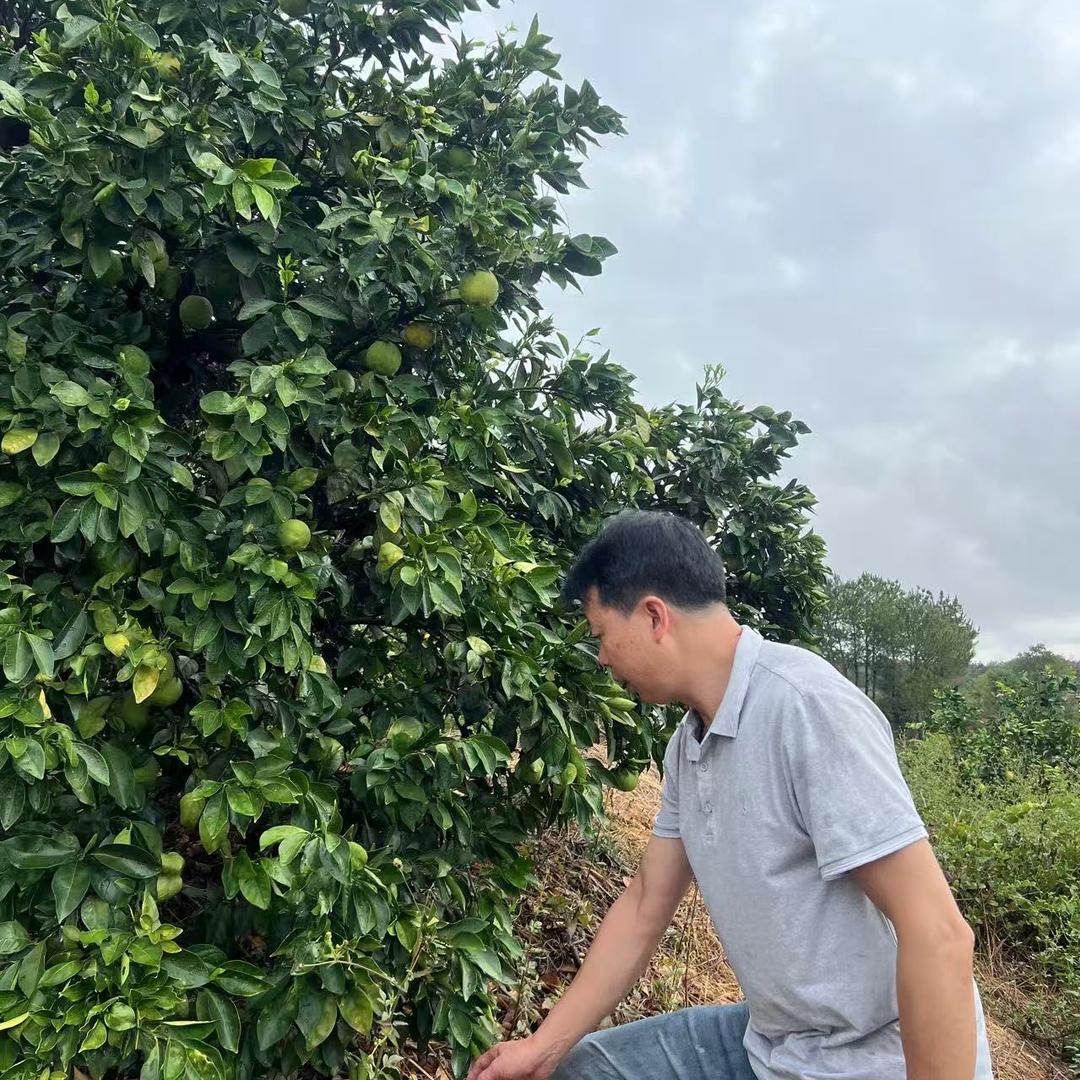 宁都田头镇温军荣精选小铺