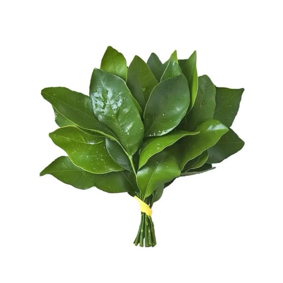 xxk
