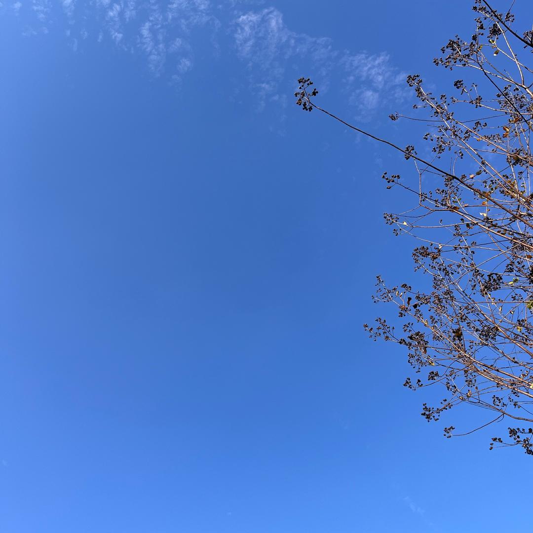 JꕤiaoෆJꕤiaoෆ