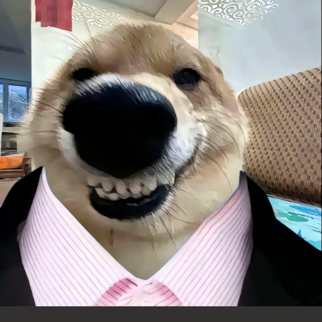 独钓寒江薛