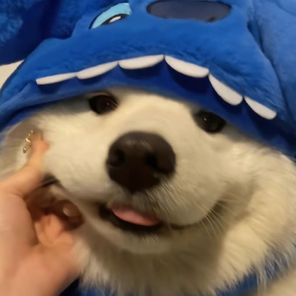 沉默的汎哥